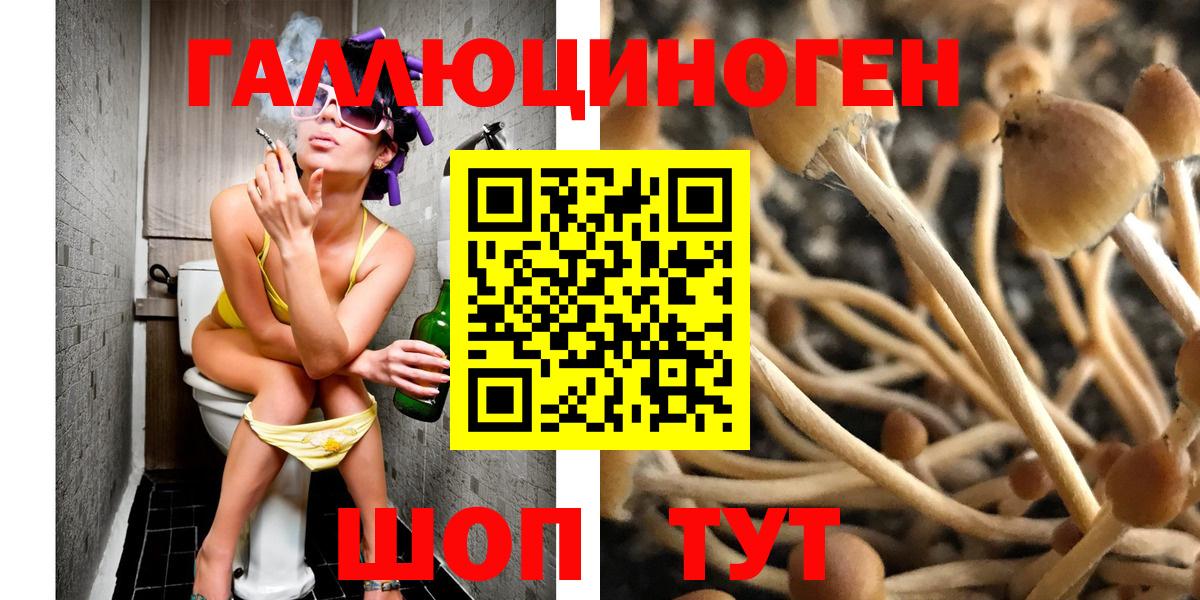 Галлюциногенные грибы GOLDEN TEACHER Ухта