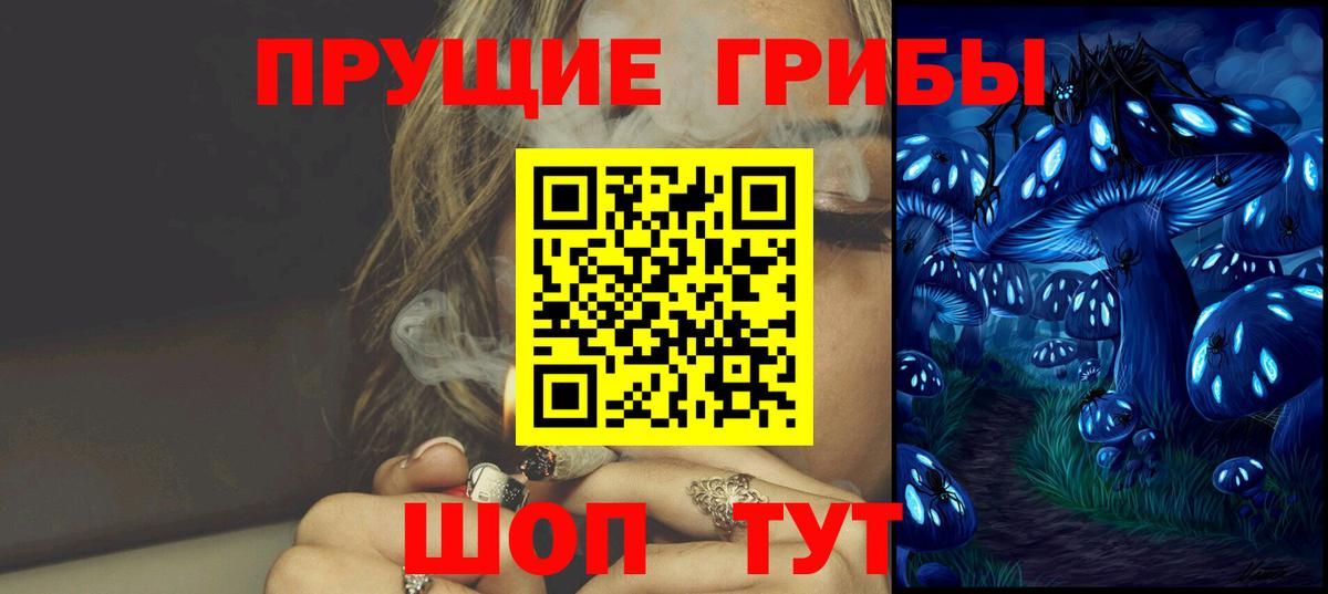 Ухта  Галлюциногенные грибы прущие грибы  Вход с VPN 